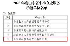 公司入選山東省中小企業(yè)服務(wù)示范單位